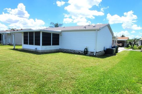 620 Yellow Cypress - sp08
