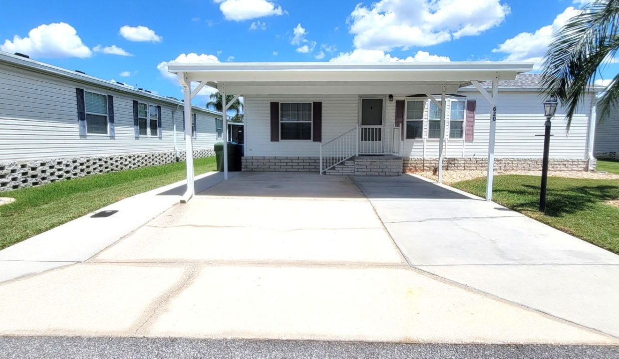 620 Yellow Cypress - sp10
