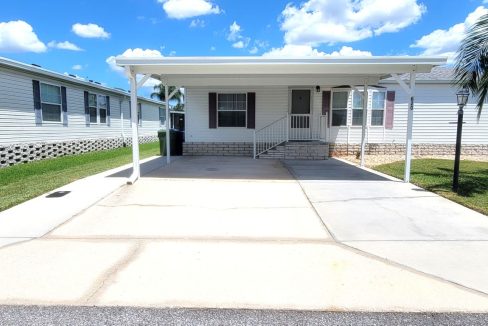 620 Yellow Cypress - sp10