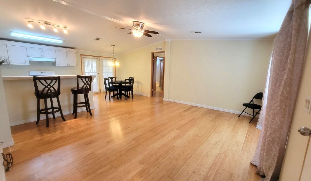620 Yellow Cypress - sp12