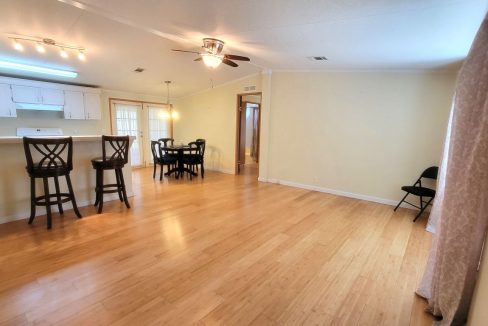 620 Yellow Cypress - sp12