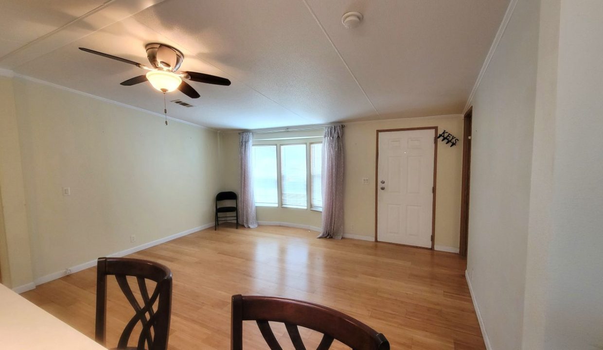 620 Yellow Cypress - sp13