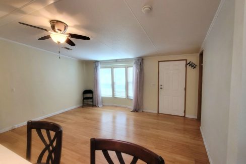 620 Yellow Cypress - sp13