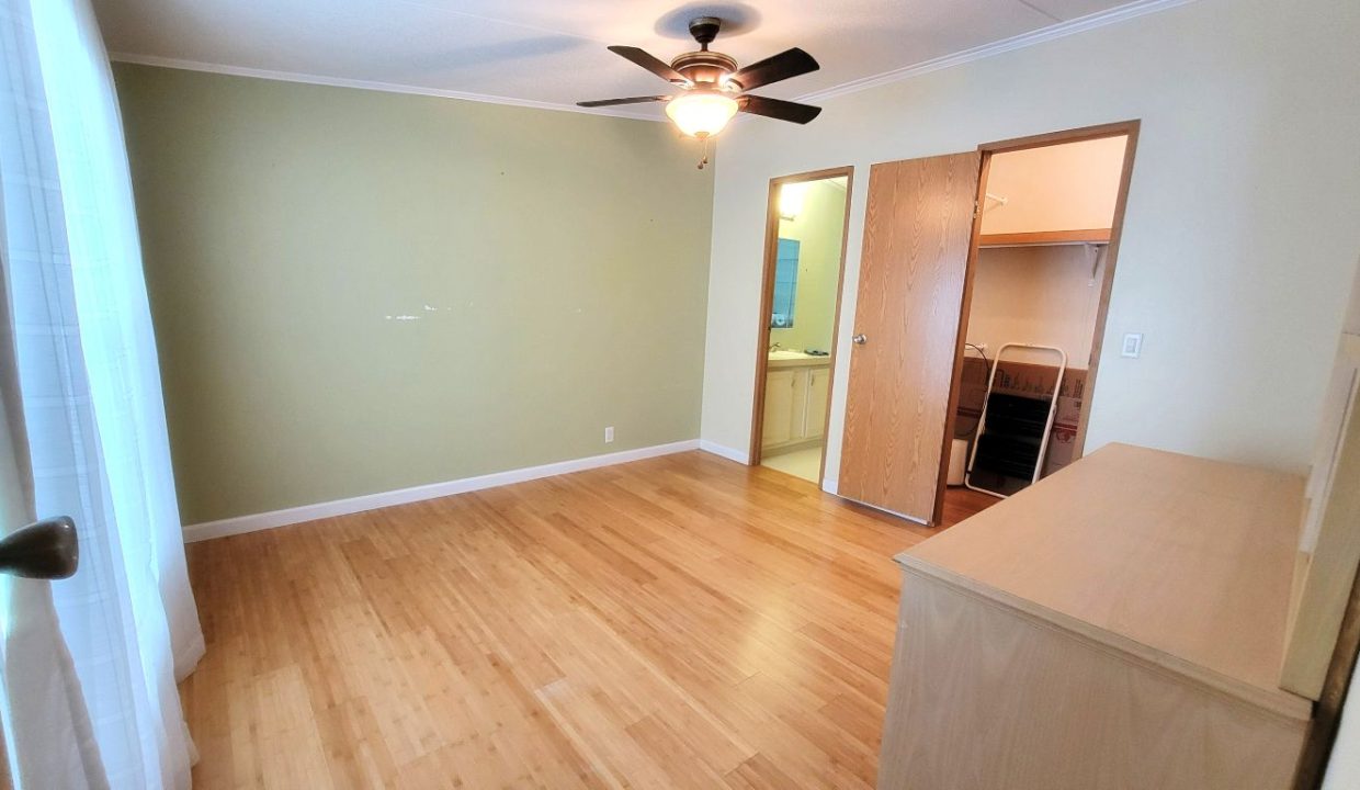 620 Yellow Cypress - sp26