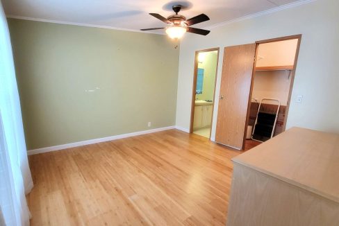 620 Yellow Cypress - sp26