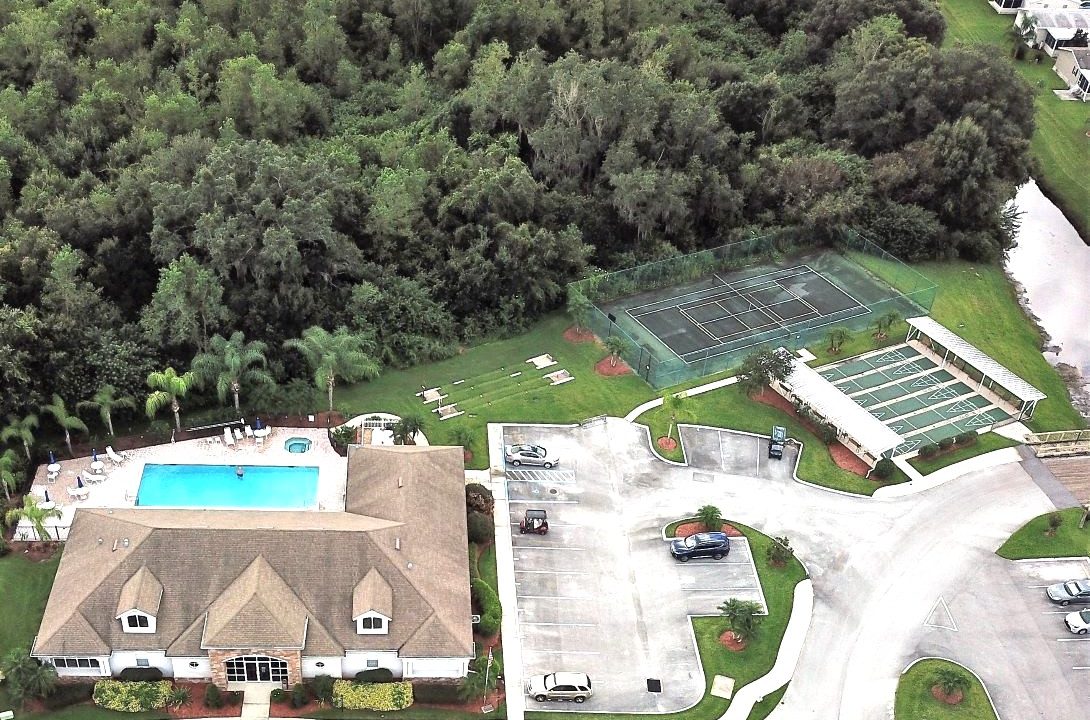 620 Yellow Cypress - sp40