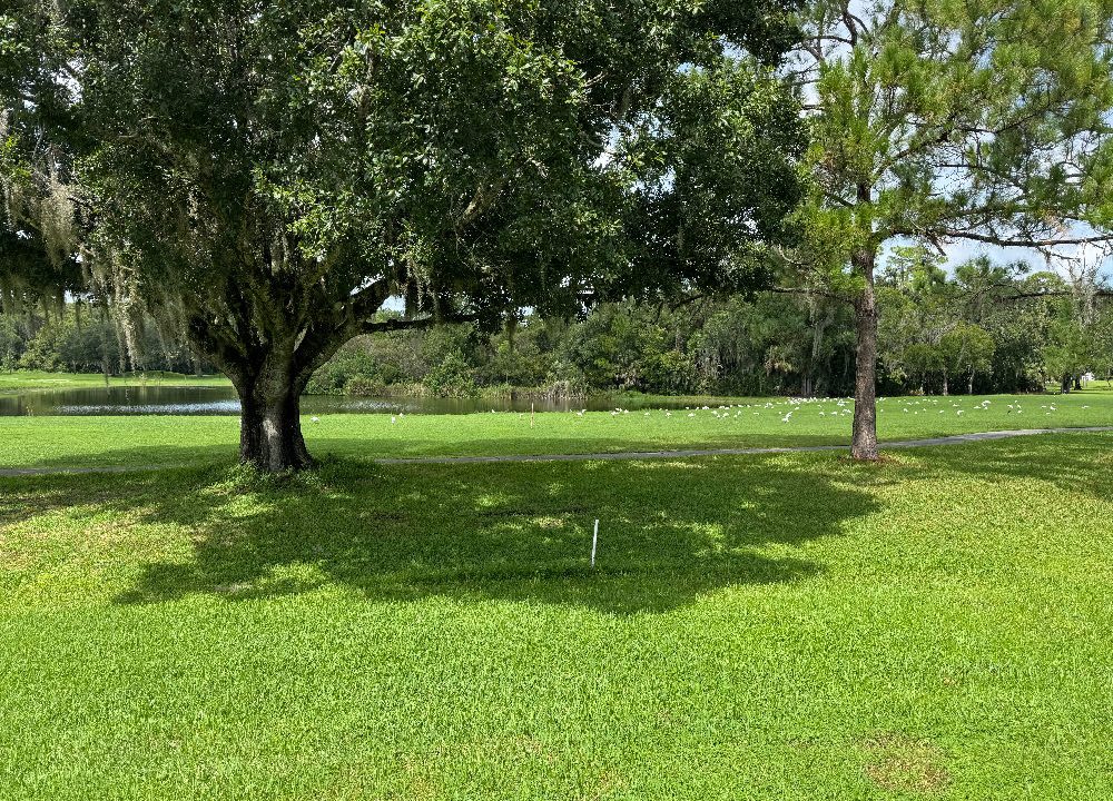 1356 Deverly - sp26