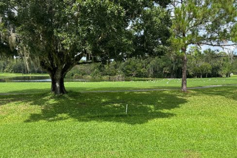 1356 Deverly - sp26