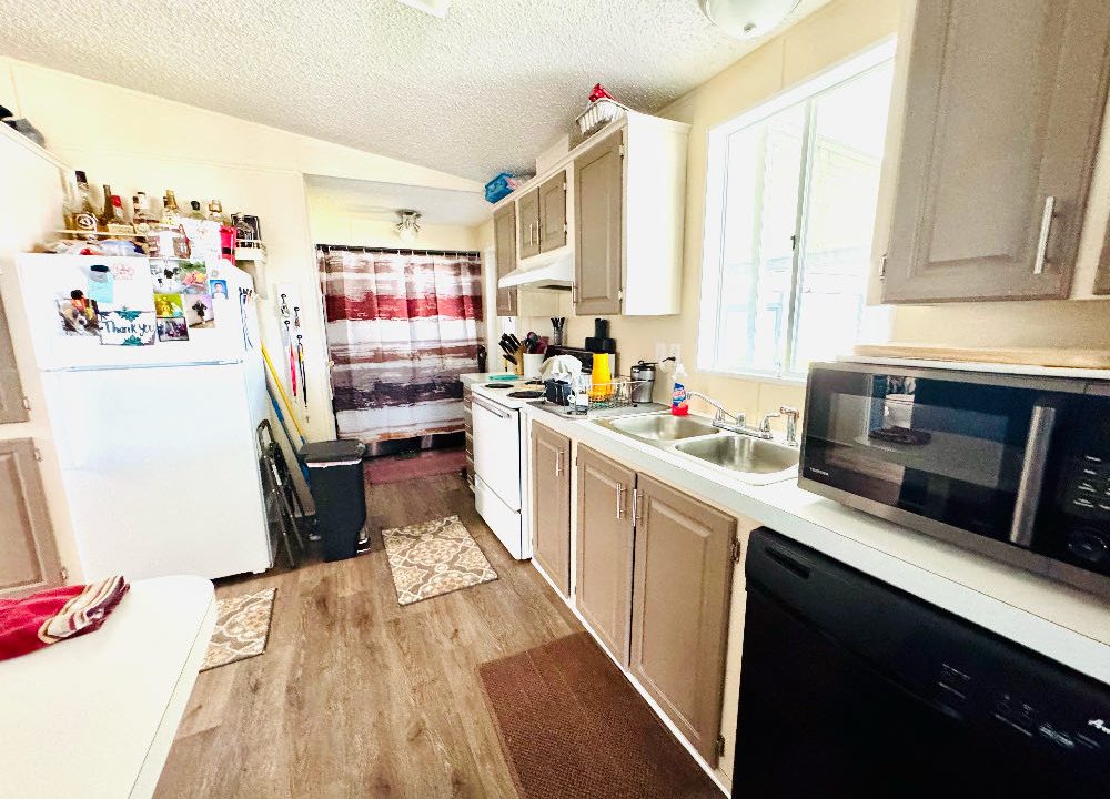 10 Cypress Loop - sp08