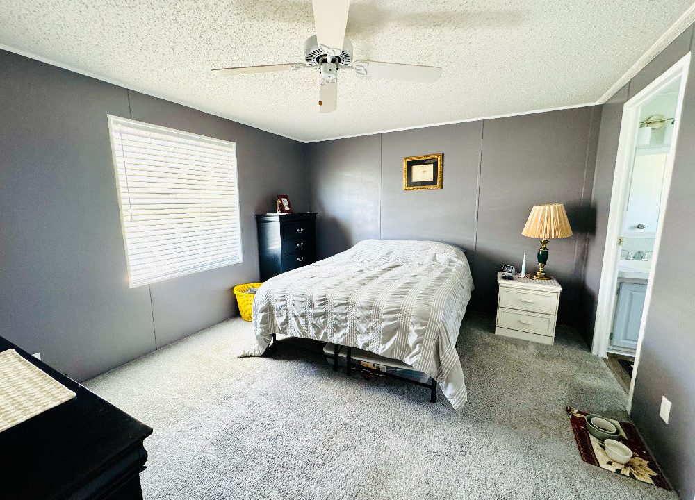 10 Cypress Loop - sp12