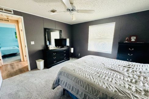 10 Cypress Loop - sp13