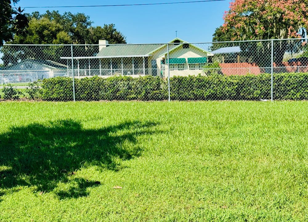 10 Cypress Loop - sp24