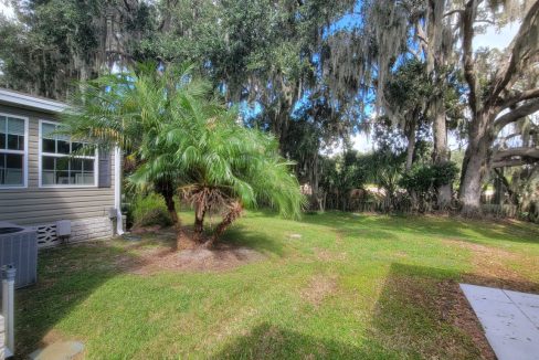 1044 Heartwood - sp35