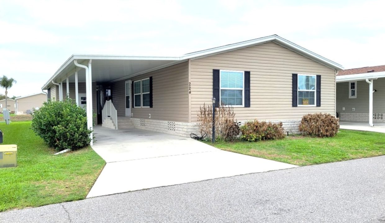 224 Monterey Cypress - sp01