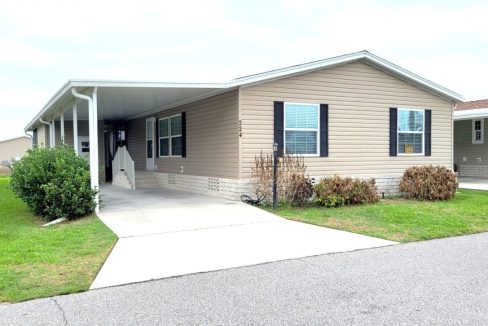 224 Monterey Cypress - sp01