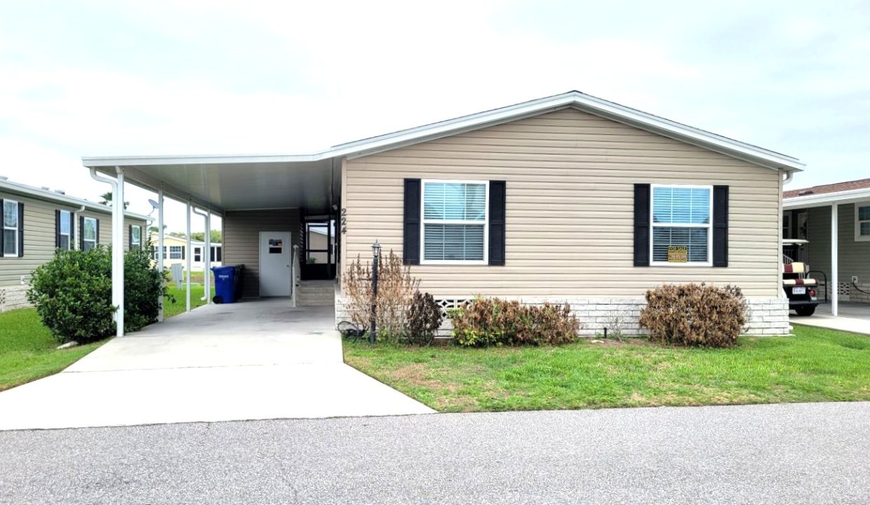 224 Monterey Cypress - sp02