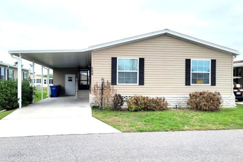 224 Monterey Cypress - sp02
