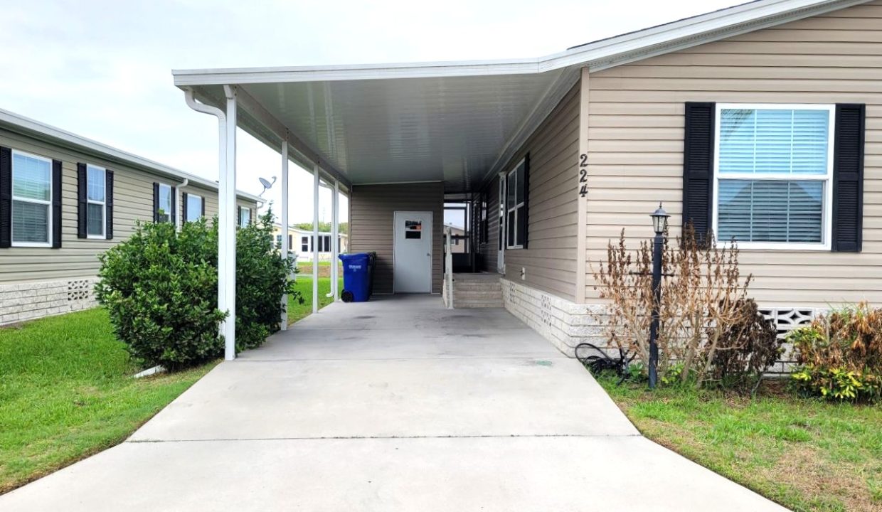 224 Monterey Cypress - sp04
