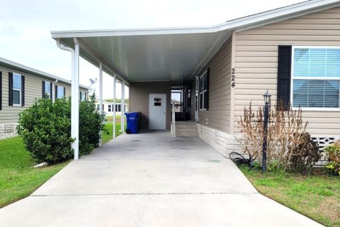 224 Monterey Cypress - sp04