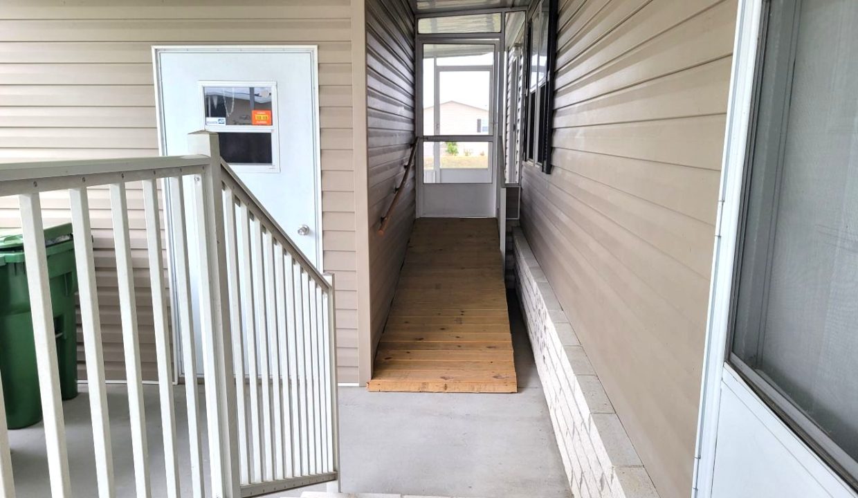 224 Monterey Cypress - sp06