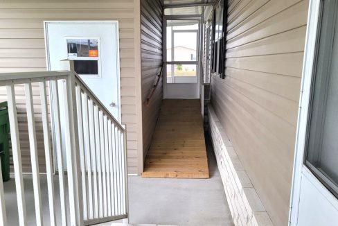 224 Monterey Cypress - sp06