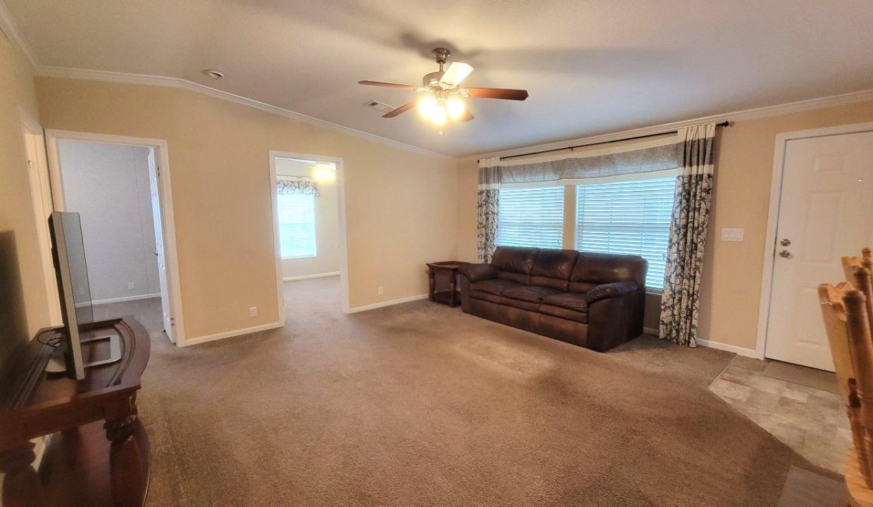 224 Monterey Cypress - sp08