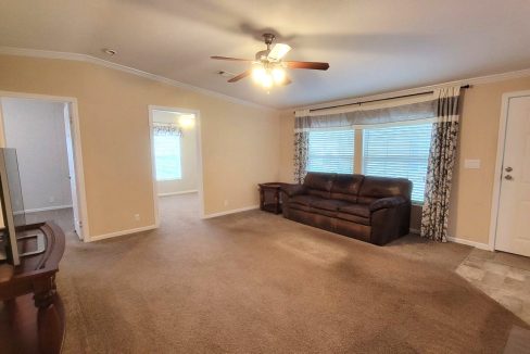 224 Monterey Cypress - sp08