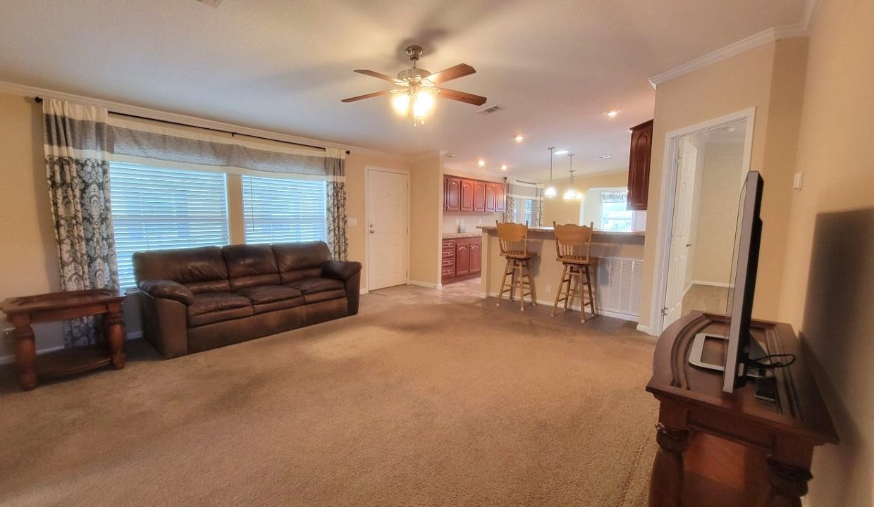 224 Monterey Cypress - sp09
