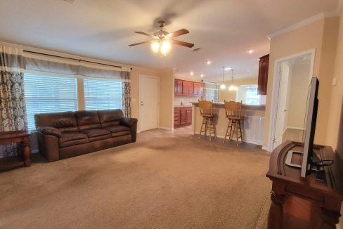 224 Monterey Cypress - sp09