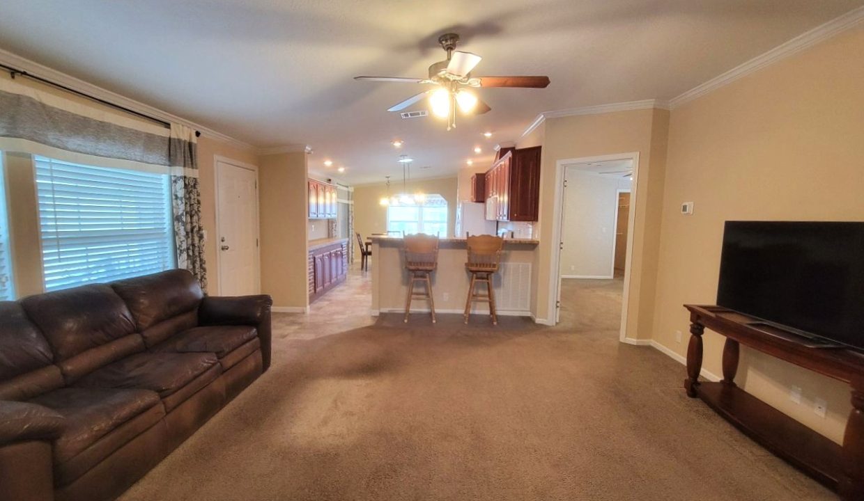 224 Monterey Cypress - sp10