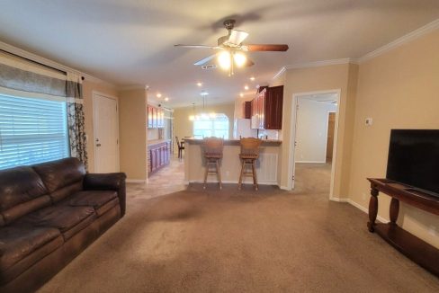 224 Monterey Cypress - sp10