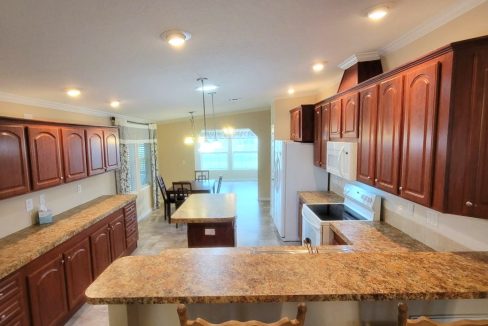 224 Monterey Cypress - sp11
