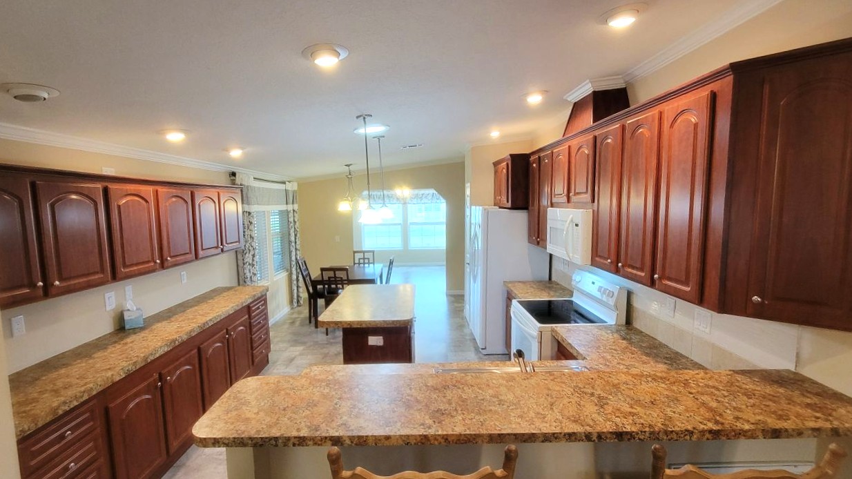 224 Monterey Cypress - sp11
