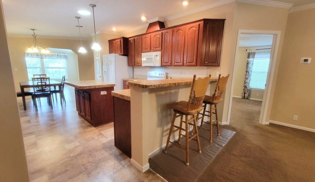 224 Monterey Cypress - sp12
