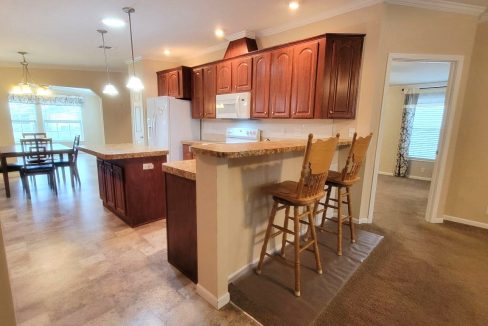 224 Monterey Cypress - sp12