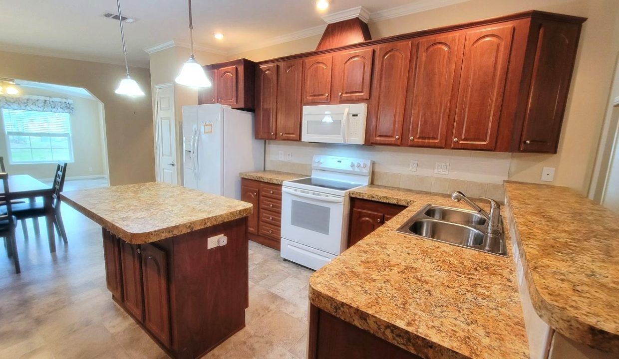 224 Monterey Cypress - sp13