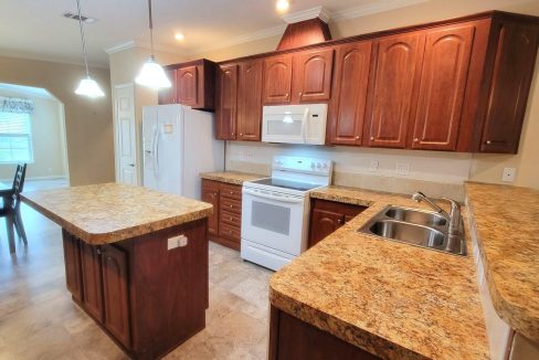 224 Monterey Cypress - sp13