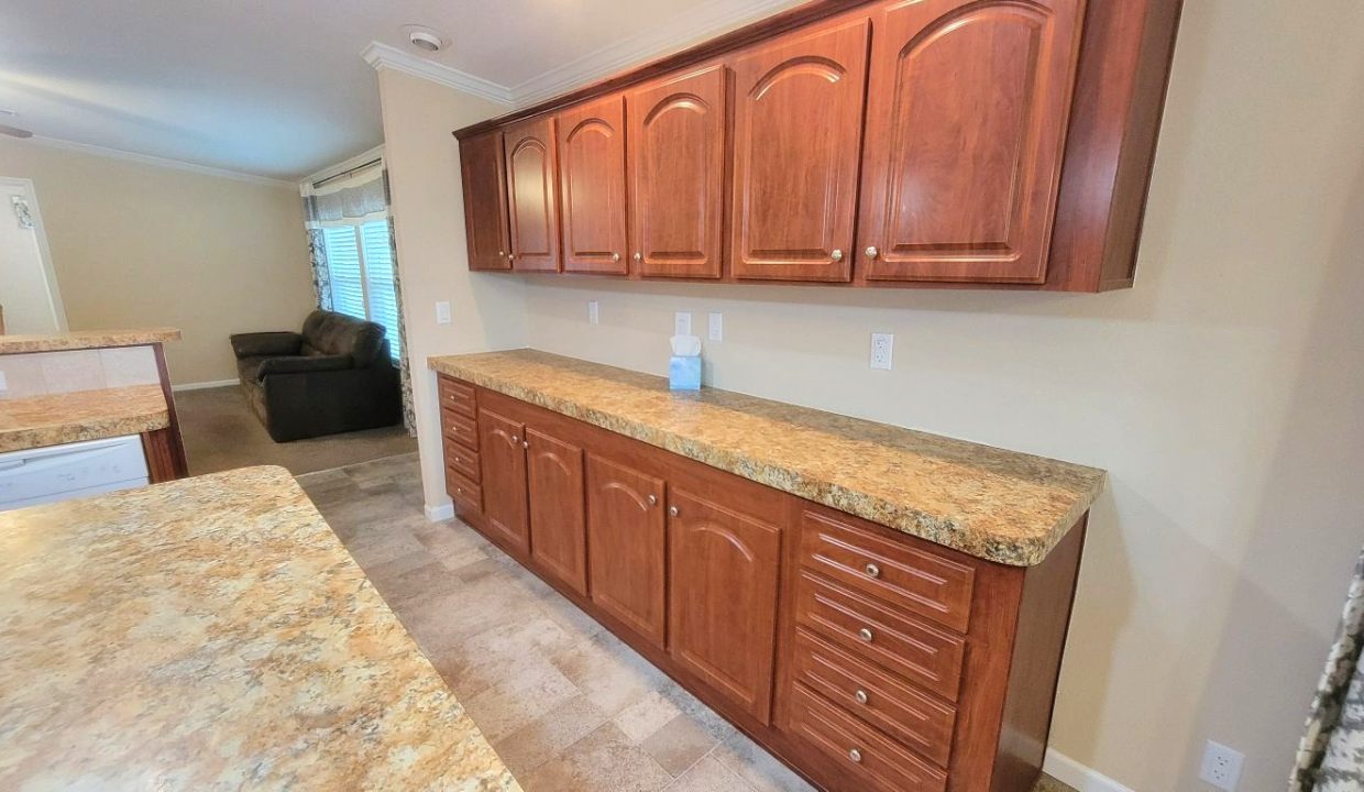 224 Monterey Cypress - sp14