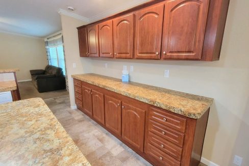 224 Monterey Cypress - sp14