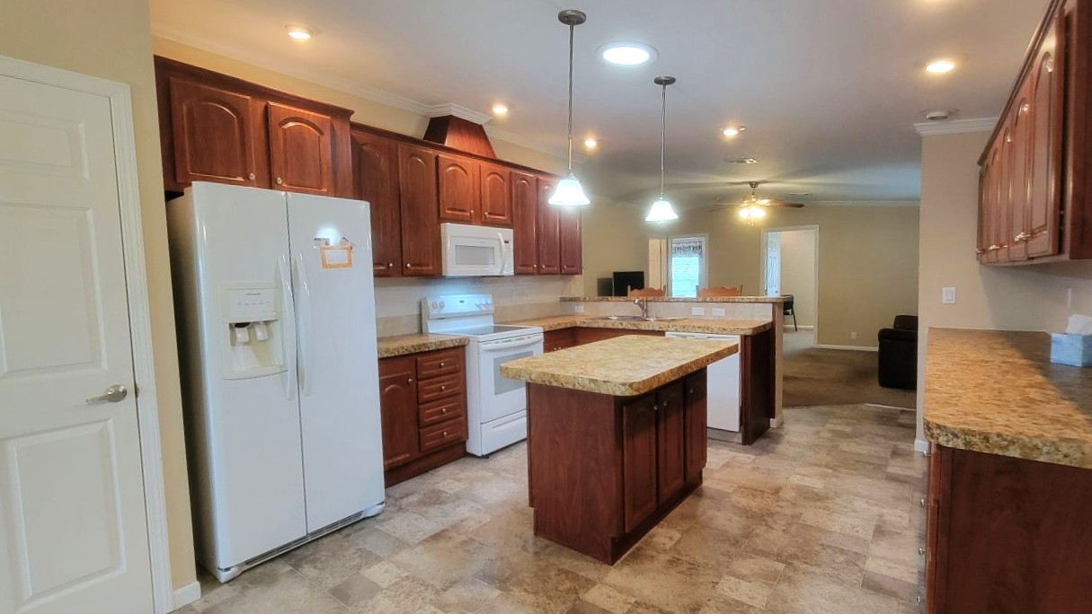 224 Monterey Cypress - sp15