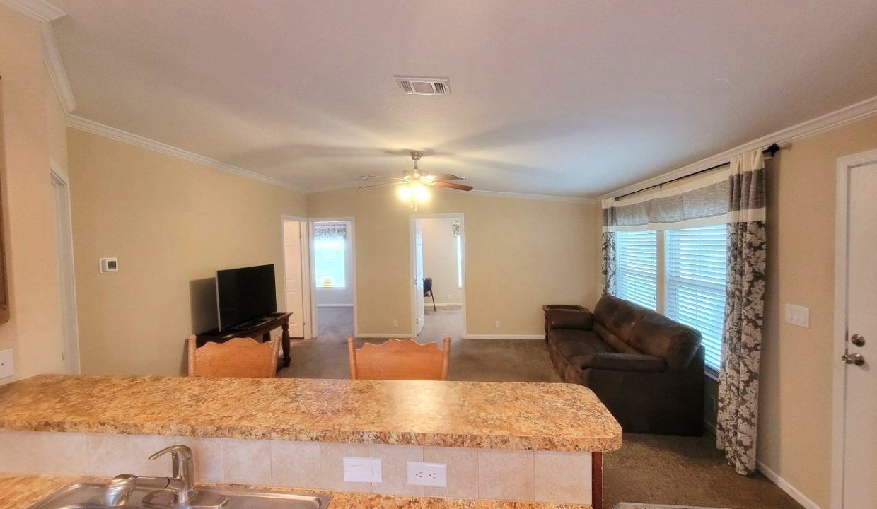 224 Monterey Cypress - sp16