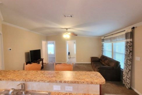 224 Monterey Cypress - sp16