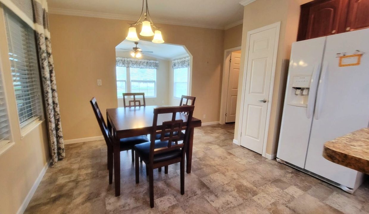 224 Monterey Cypress - sp17