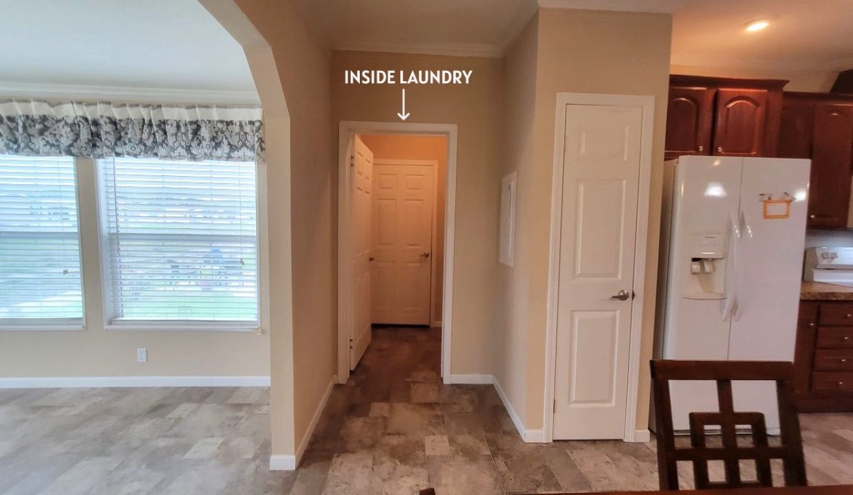 224 Monterey Cypress - sp18