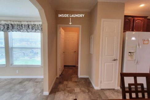 224 Monterey Cypress - sp18