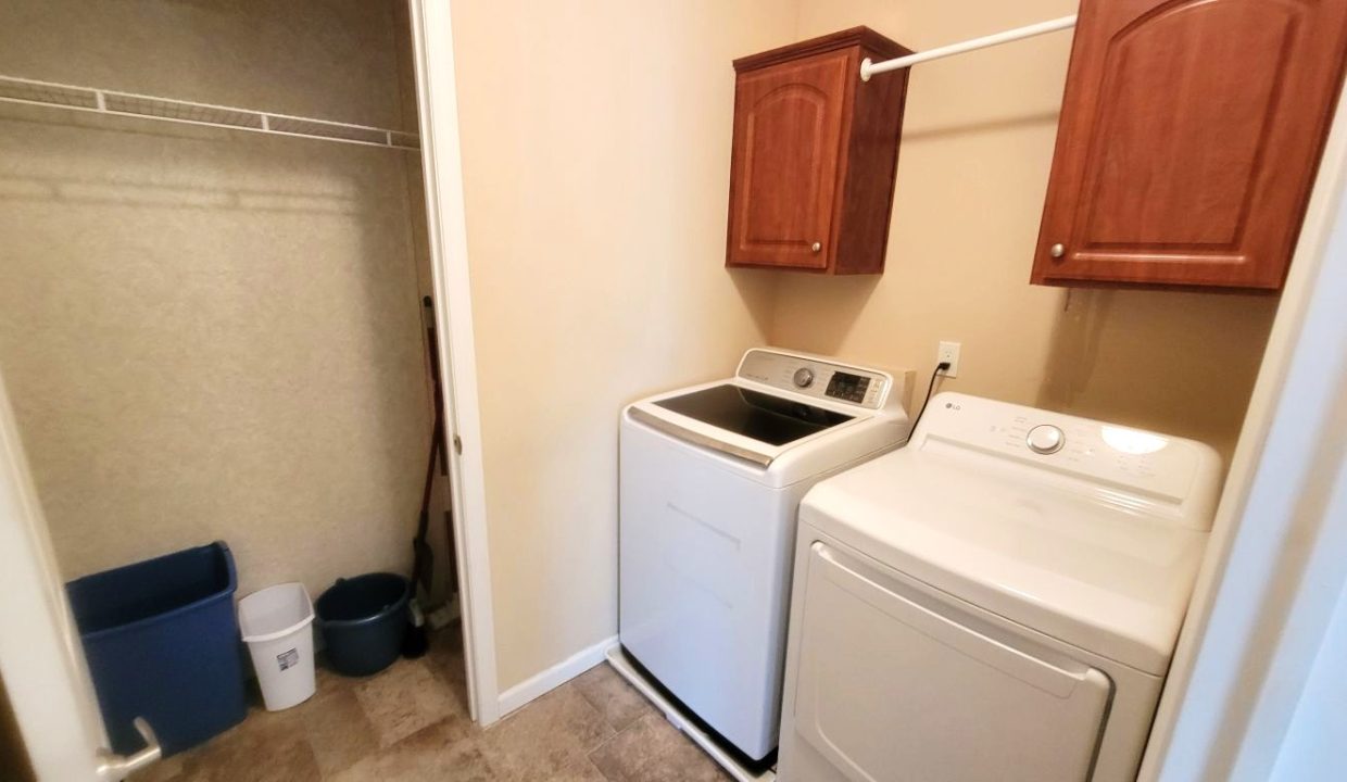 224 Monterey Cypress - sp19