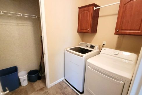 224 Monterey Cypress - sp19