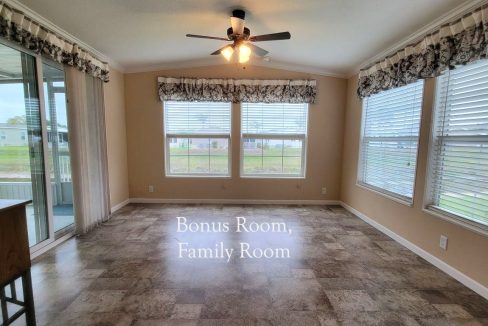 224 Monterey Cypress - sp20
