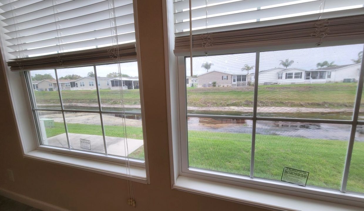 224 Monterey Cypress - sp22