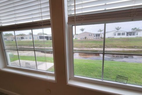 224 Monterey Cypress - sp22